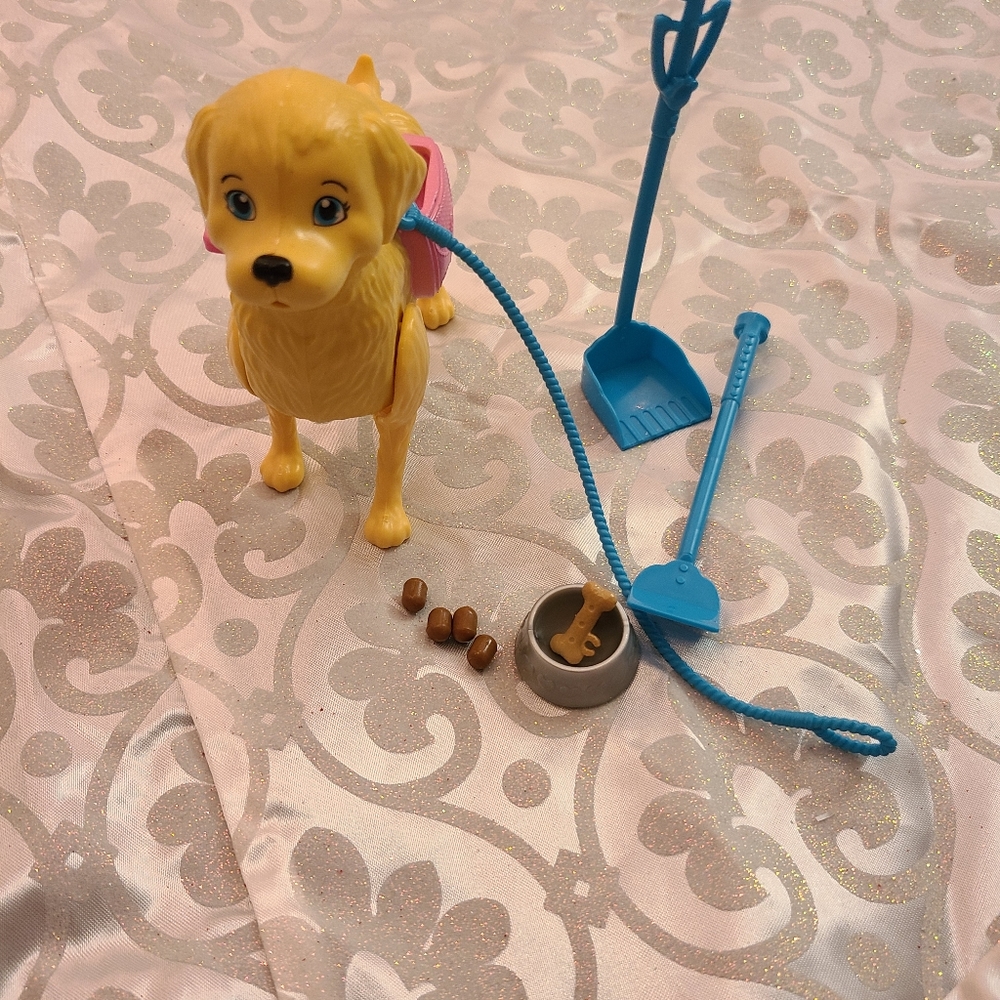 Pup with pooper scooper and accessories
